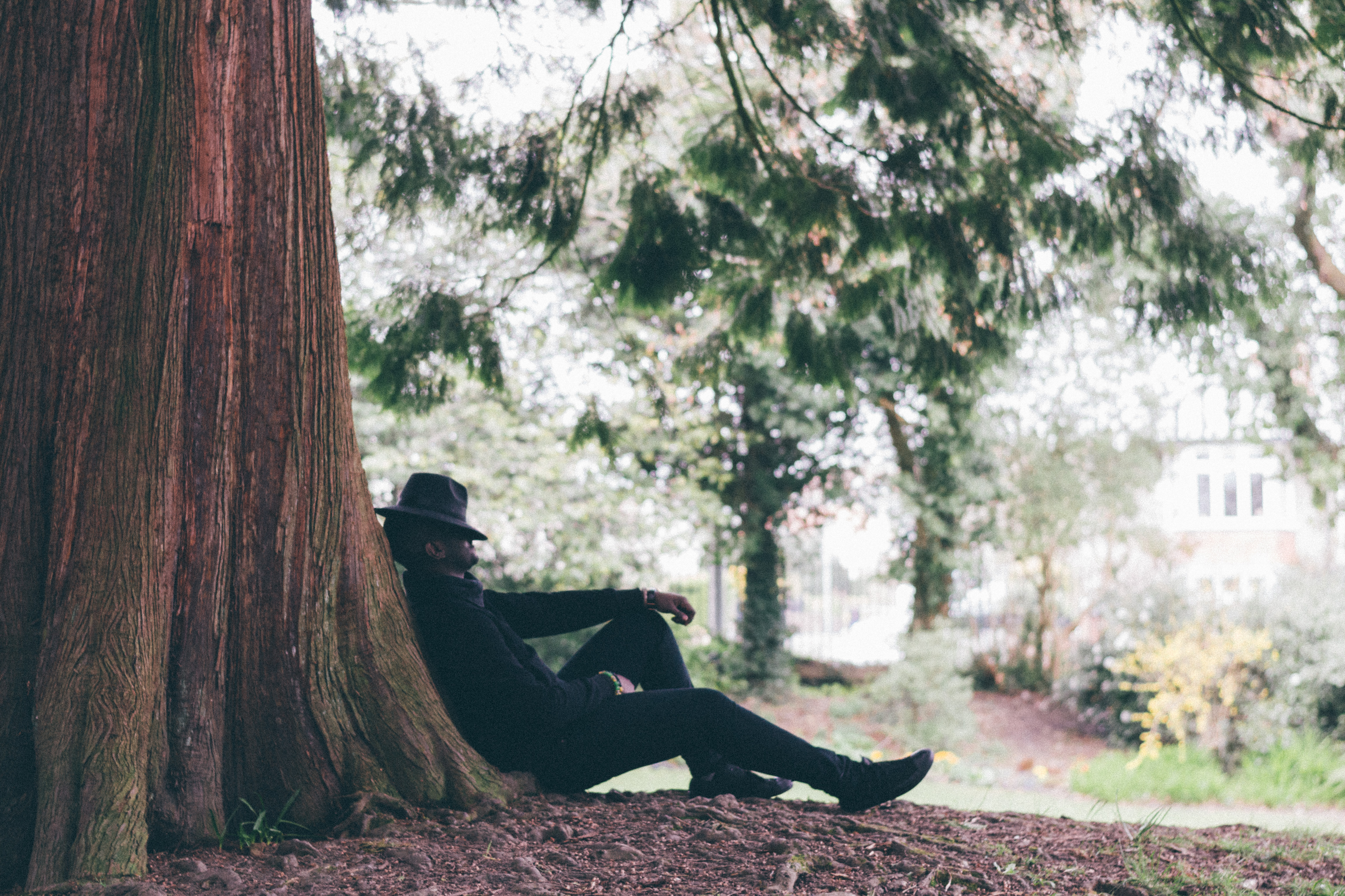 Tree. Full Frame.
