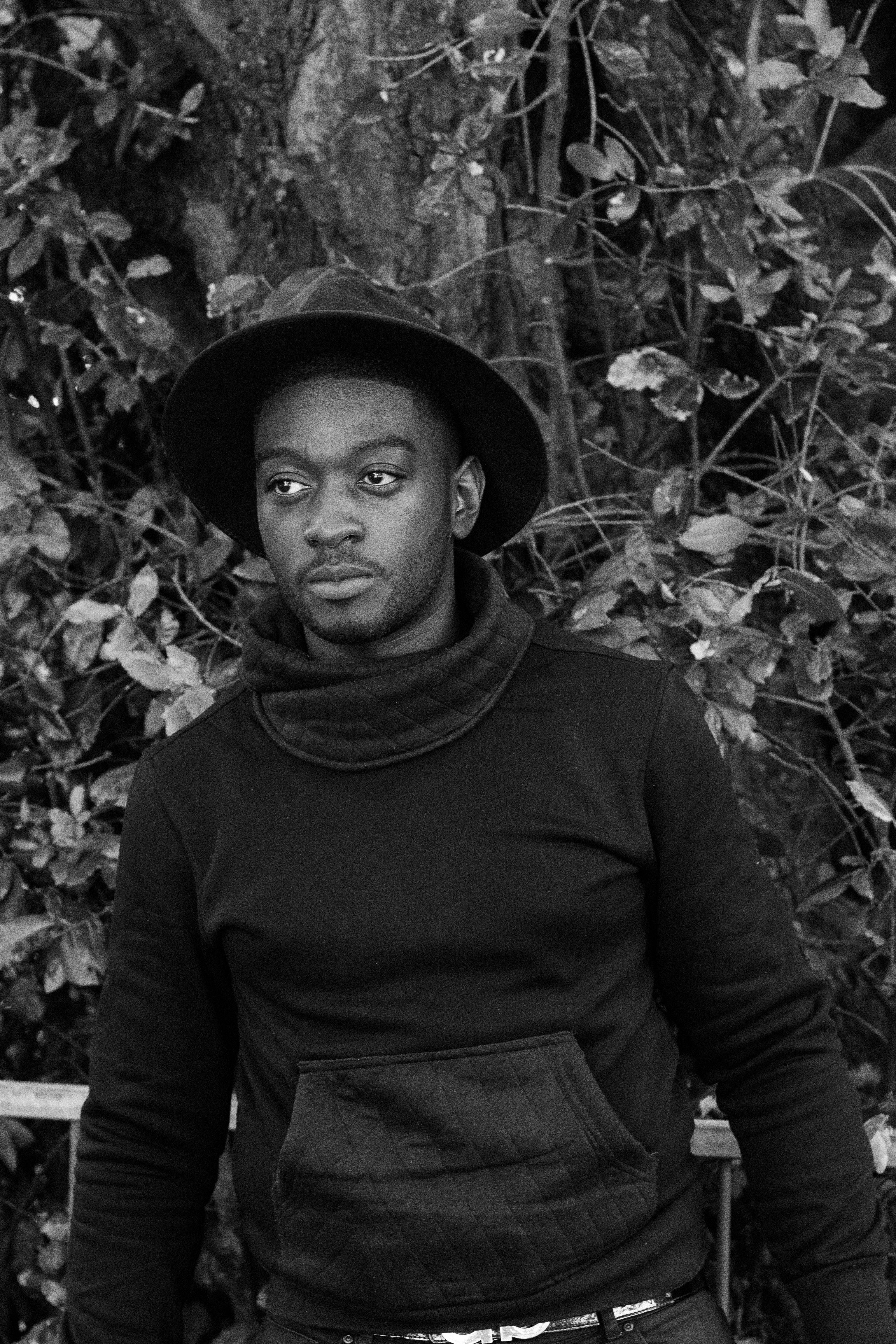 Black and White. Foliage.